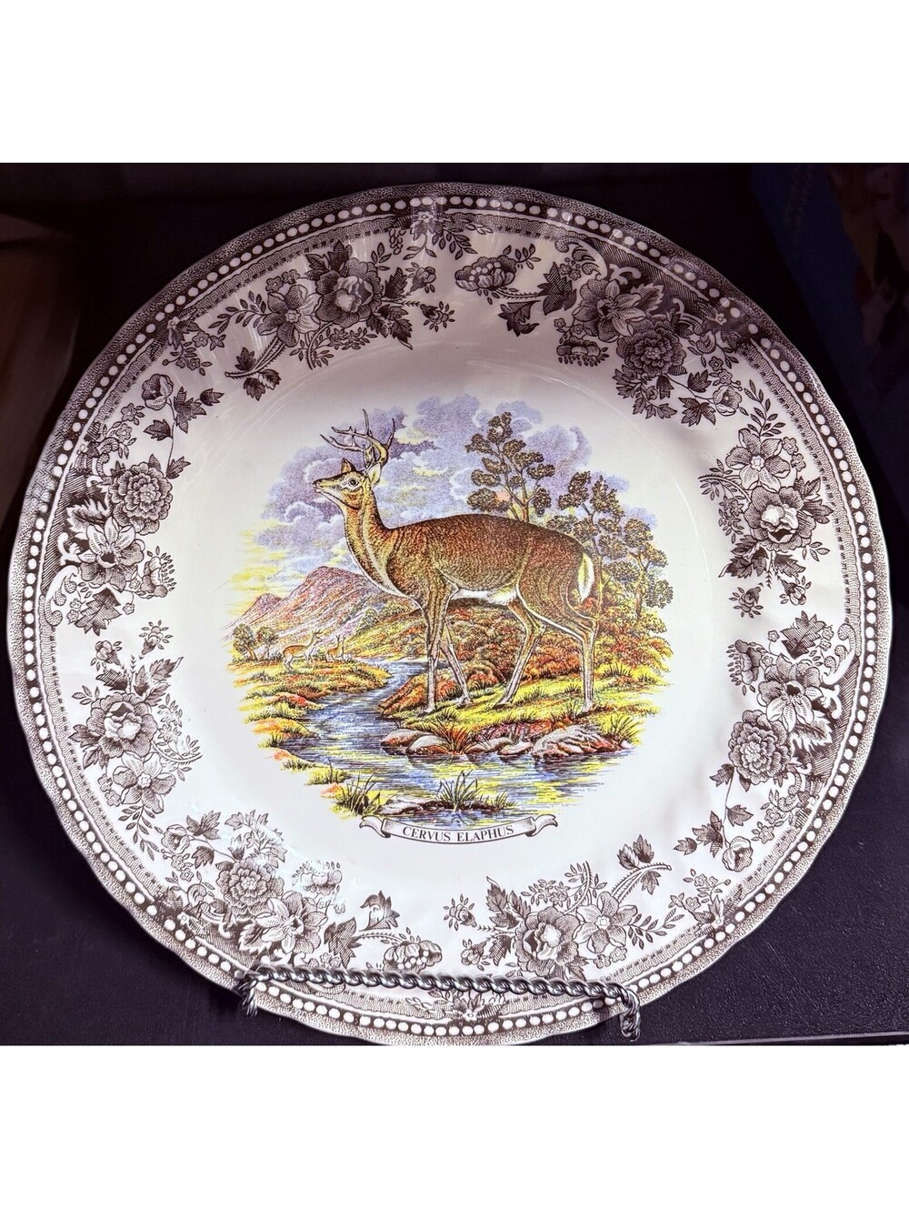 Vintage Churchill Game Plate: Red Deer Design